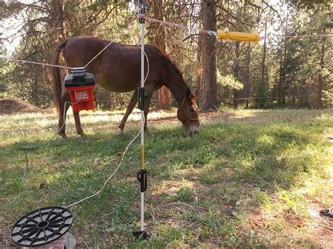 electric enclosure for horses camping|electric fencing for horses.